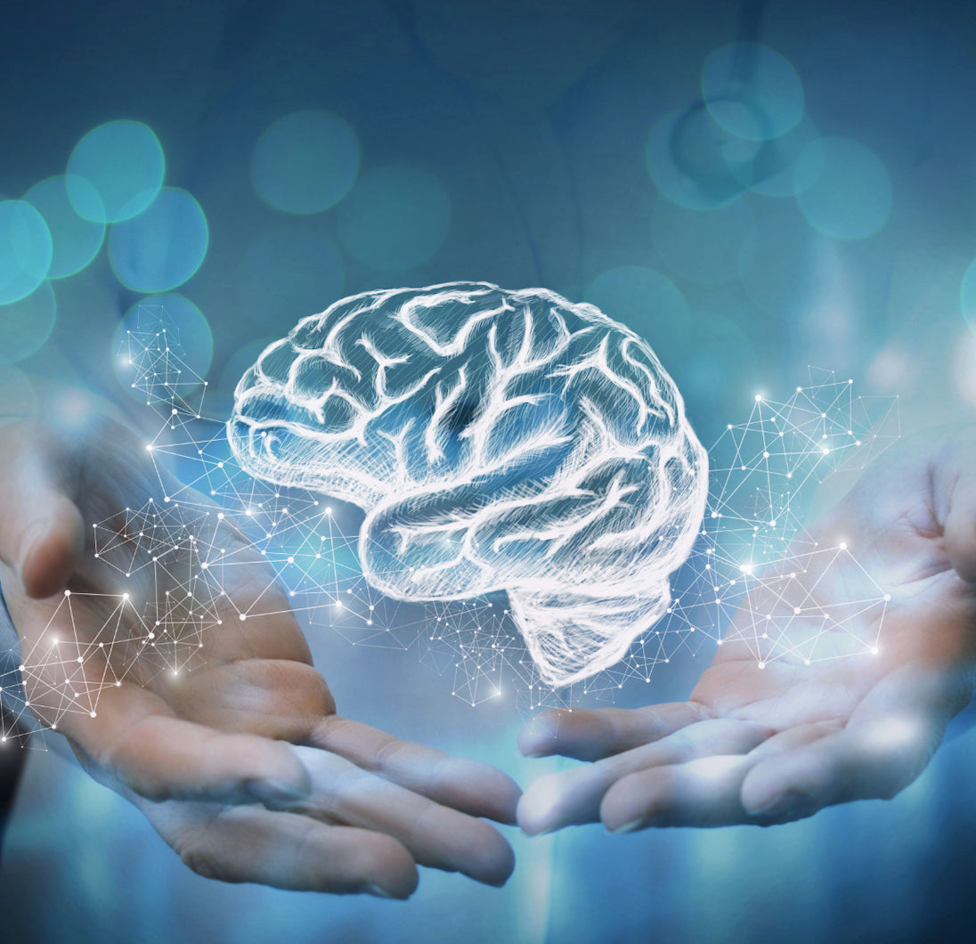 Concussion Rescue book cover in webp format.